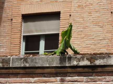 20110613 160210